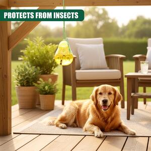 Set of 2 Wasp Traps