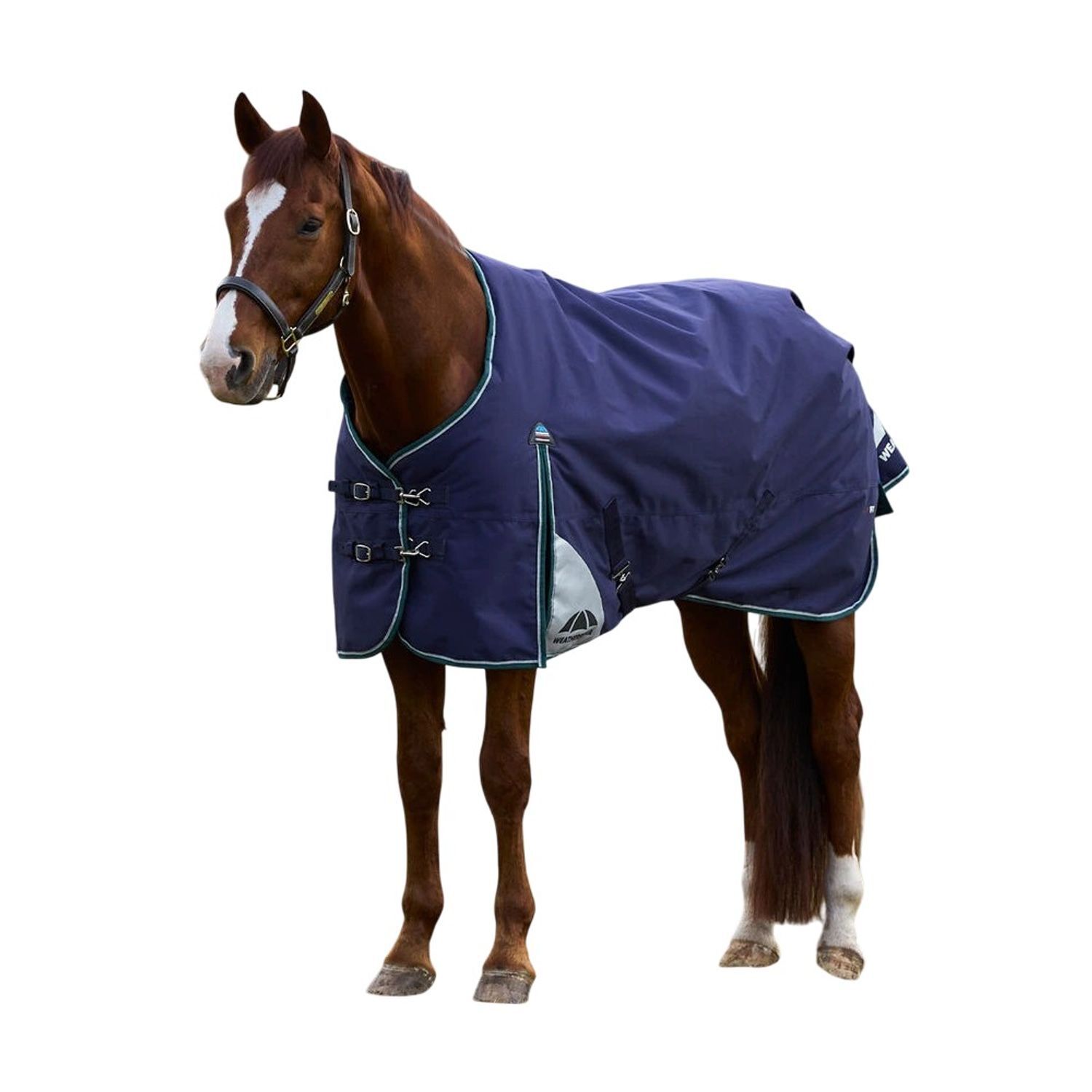 Weatherbeeta Comfitec Plus Dynamic Standard-Neck 100g Horse Turnout Rug - Navy/Forest Green / Polyester