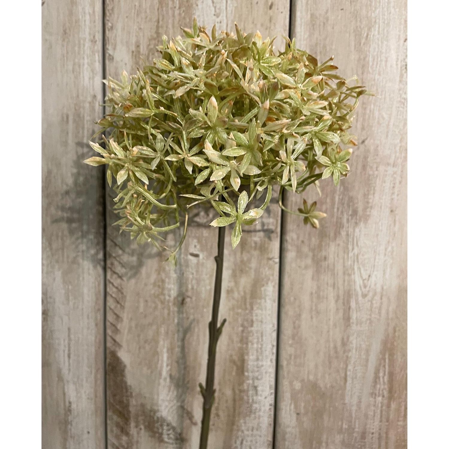 Hill Interiors Allium Stem Artificial Flower - Green/Beige