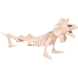 Skeleton Lizard Decoration