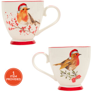 Robin Footed Bone China Mug