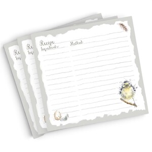 Illustrated Recipe Card Refills