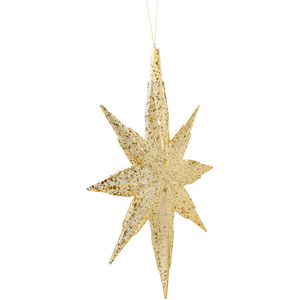 Antique Hanging Star Decoration