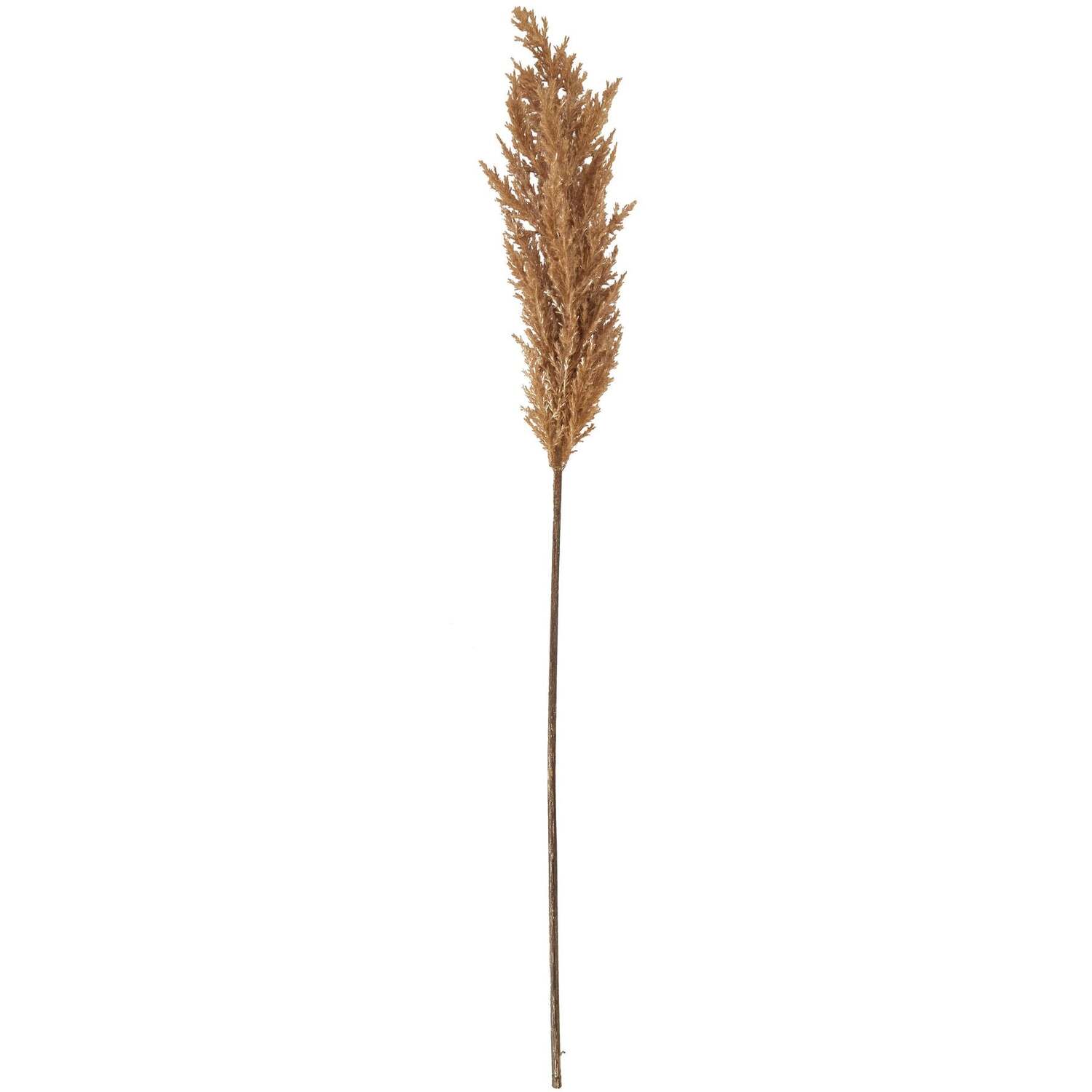 - Taupe Faux Dried Pampas Grass Stem - Image 3