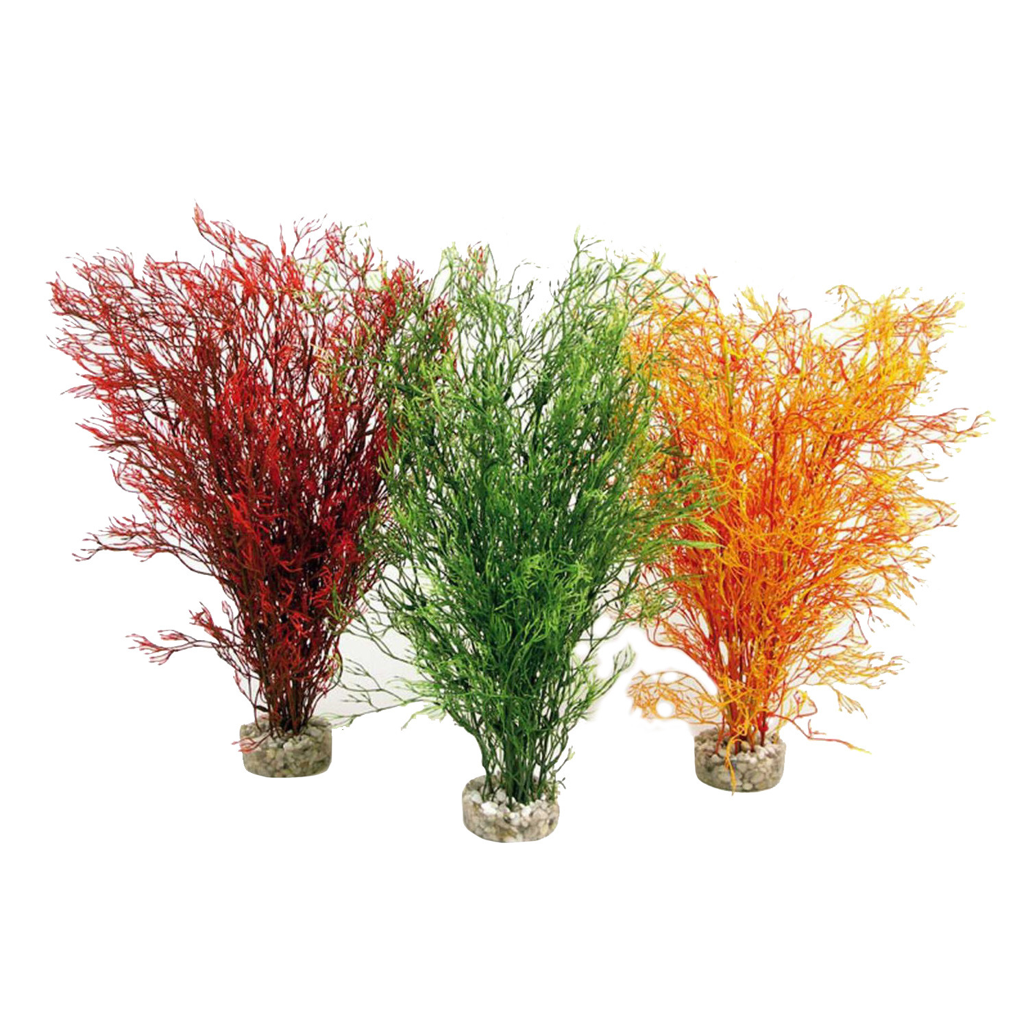 Rosewood Sydeco Aqua Coral Bush