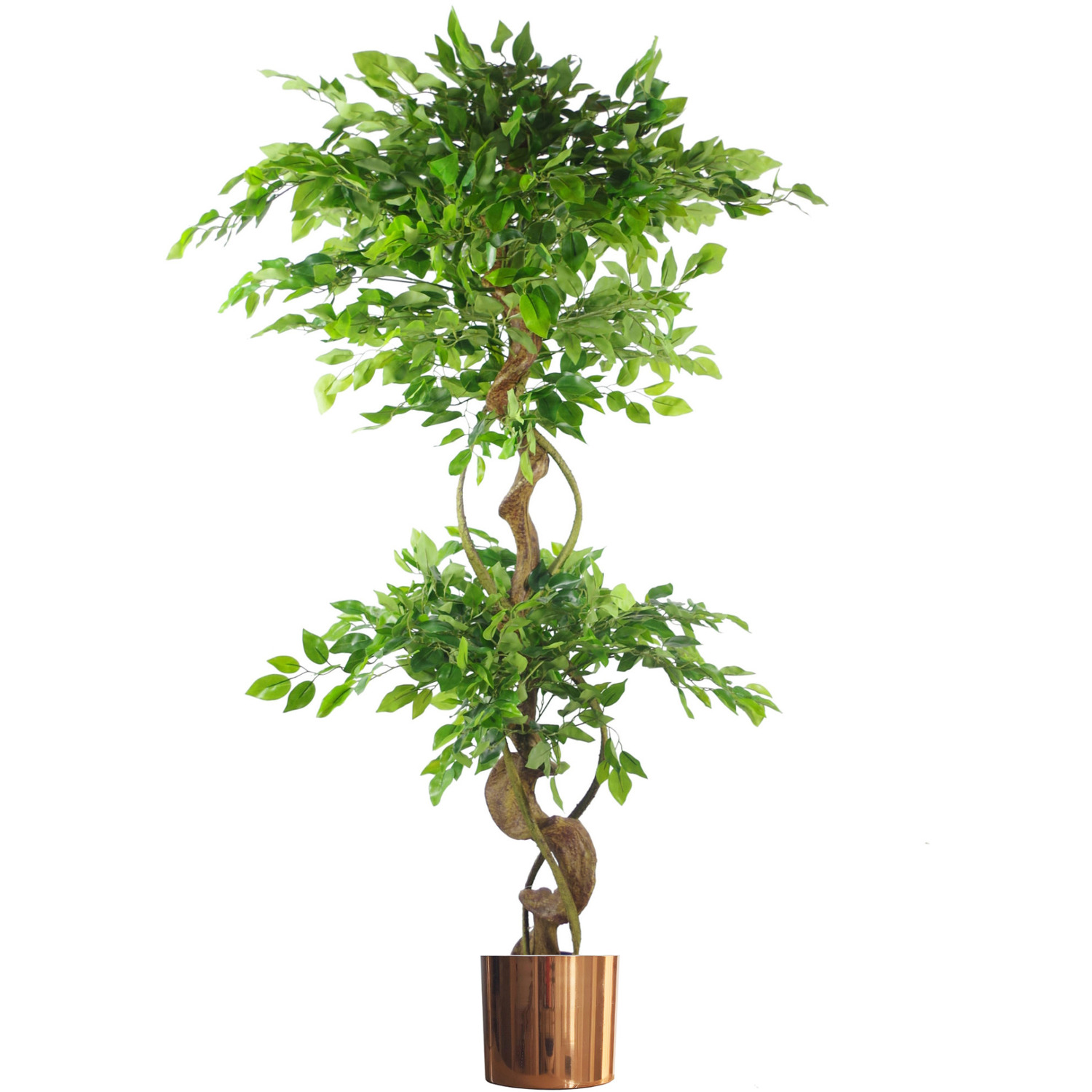 Leaf Unisex Green Twisted Trunk Artificial Fruticosa Ficus Tree Copper Planter In 150Cm - Image 7