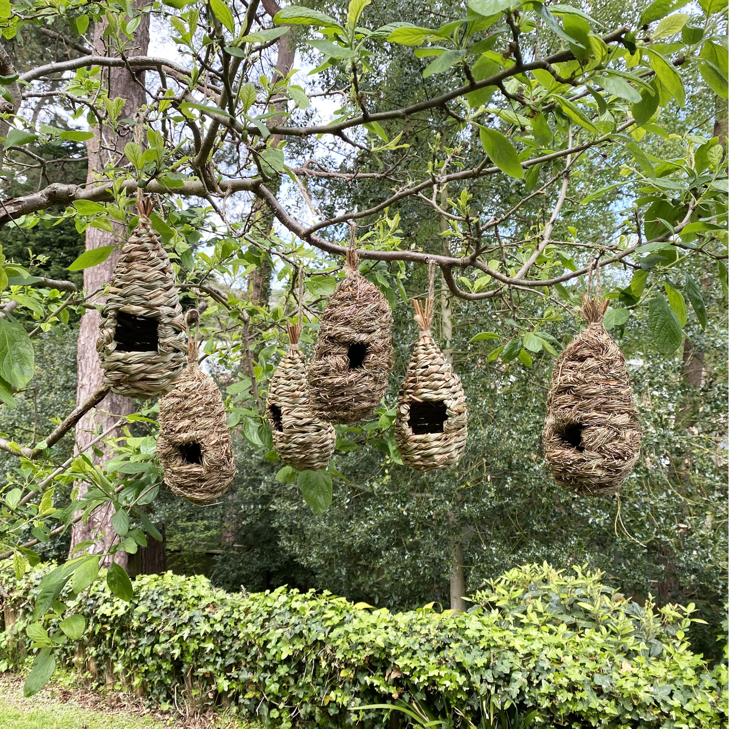 Image of Straw and Raffia Bird Roosting Pouches&hellip;