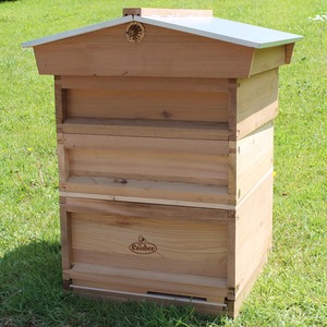 National Cedar Bee Hive Bee Keeping