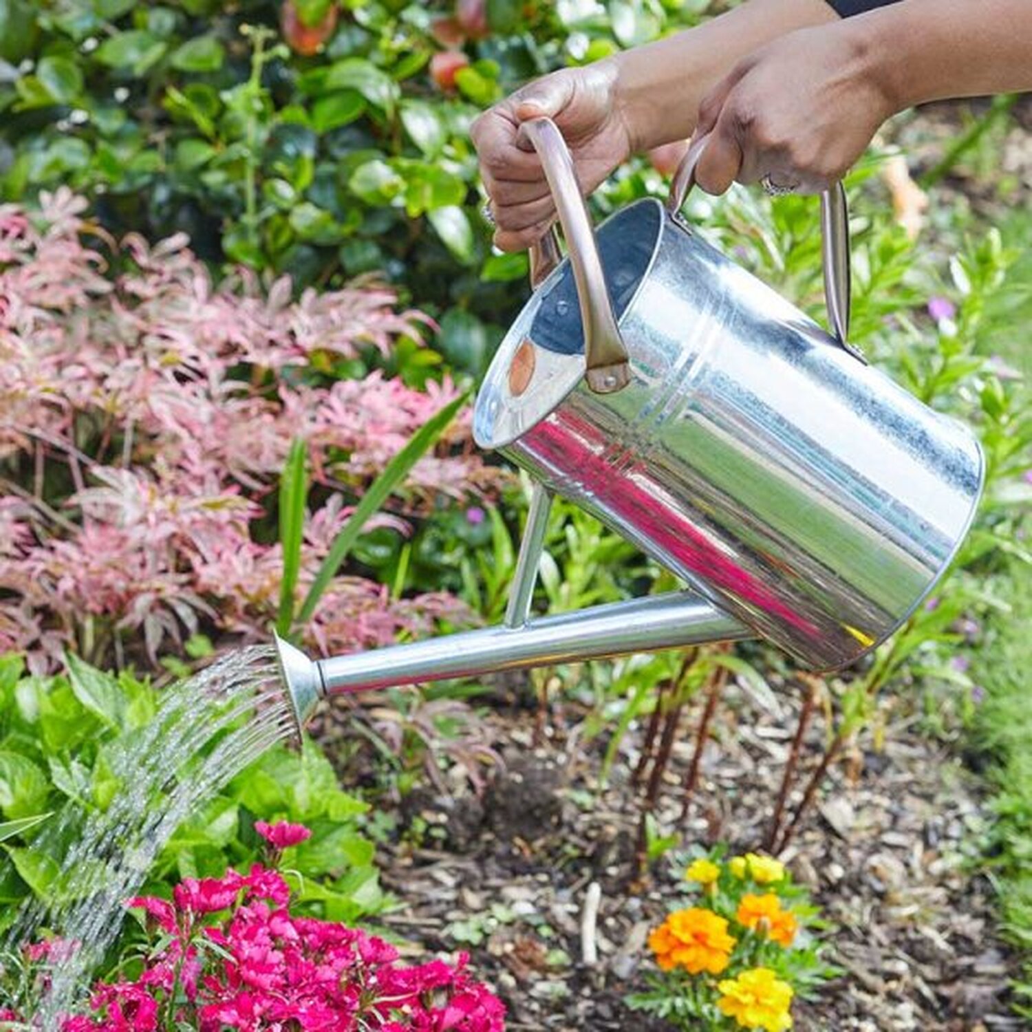 Metal Watering Can Various Designs - Silver / 4.5l