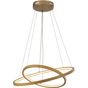 Wooden Ceiling Light