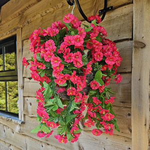 Fuchsia Morning Glory Trailing Flowers with Rattan Wicker Hanging Baskets shot 8107309