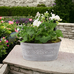 White Geranium in Metal Trough - Ready Planted Patio or Indoor Display