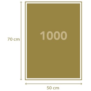  shot 10988519