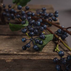 Viburnum Berry Elegance Stems For Floral Arrangements