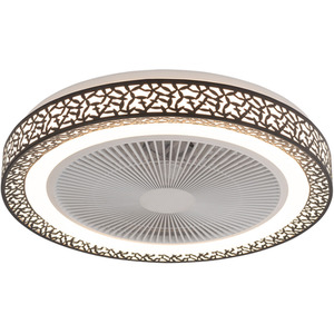 Black Ceiling Mount Metal LED Fan Light