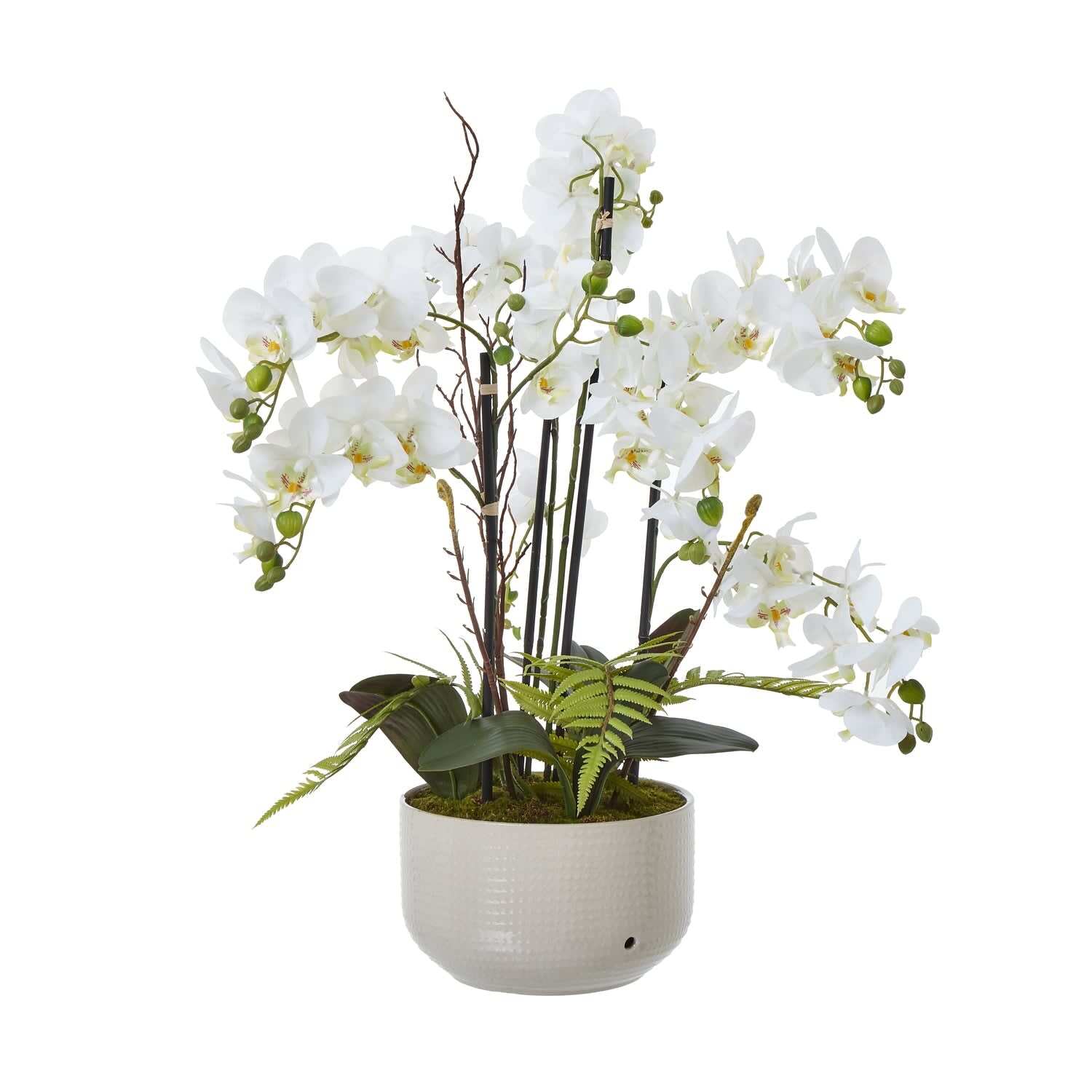 Large Artificial Orchid in Gloss Ceramic Pot - White