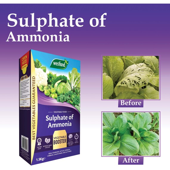 Westland Sulphate of Ammonia