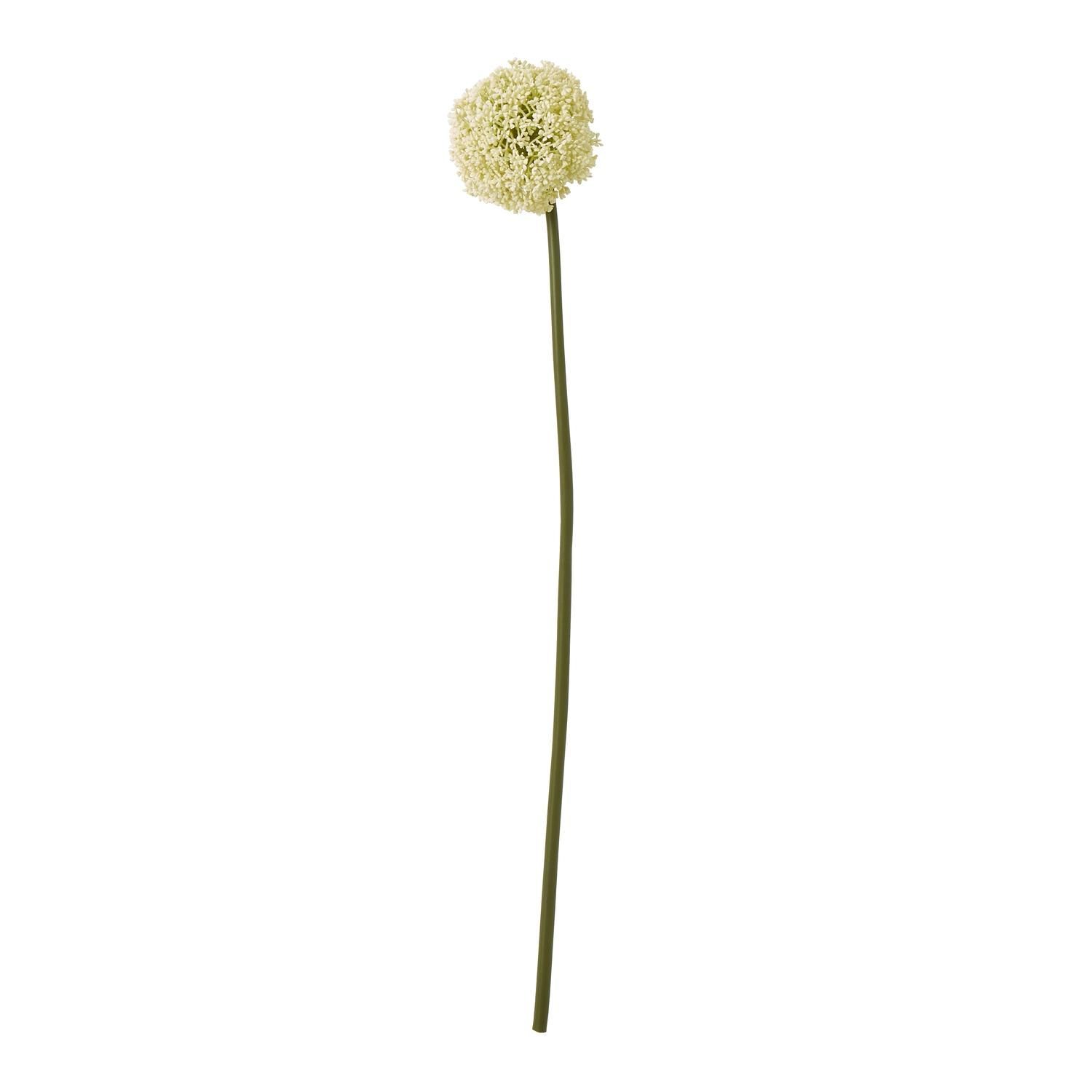 Hill Interiors Allium Stem Artificial Plant - Cream - 80cm