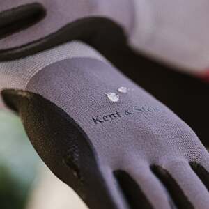  shot 15579464