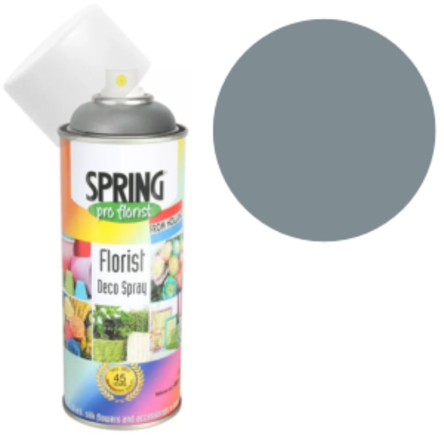 - Charcoal Euro- Can PaintGrey - Image 1