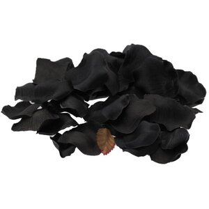 Black Rose Petal Confetti 3 Pack