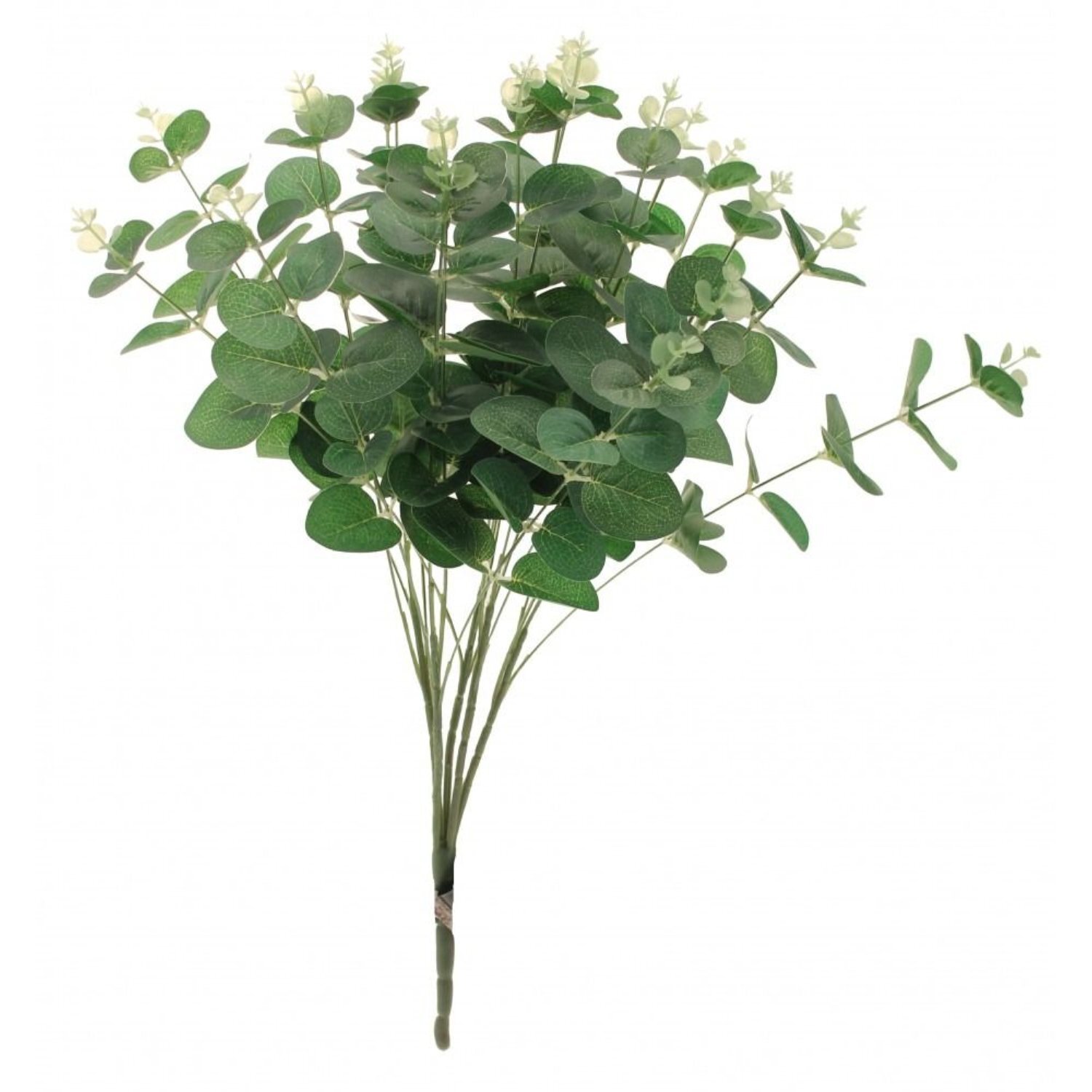 Kdmd Unisex Green Eucalyptus Bush 52Cm 2 Pack - Image 3
