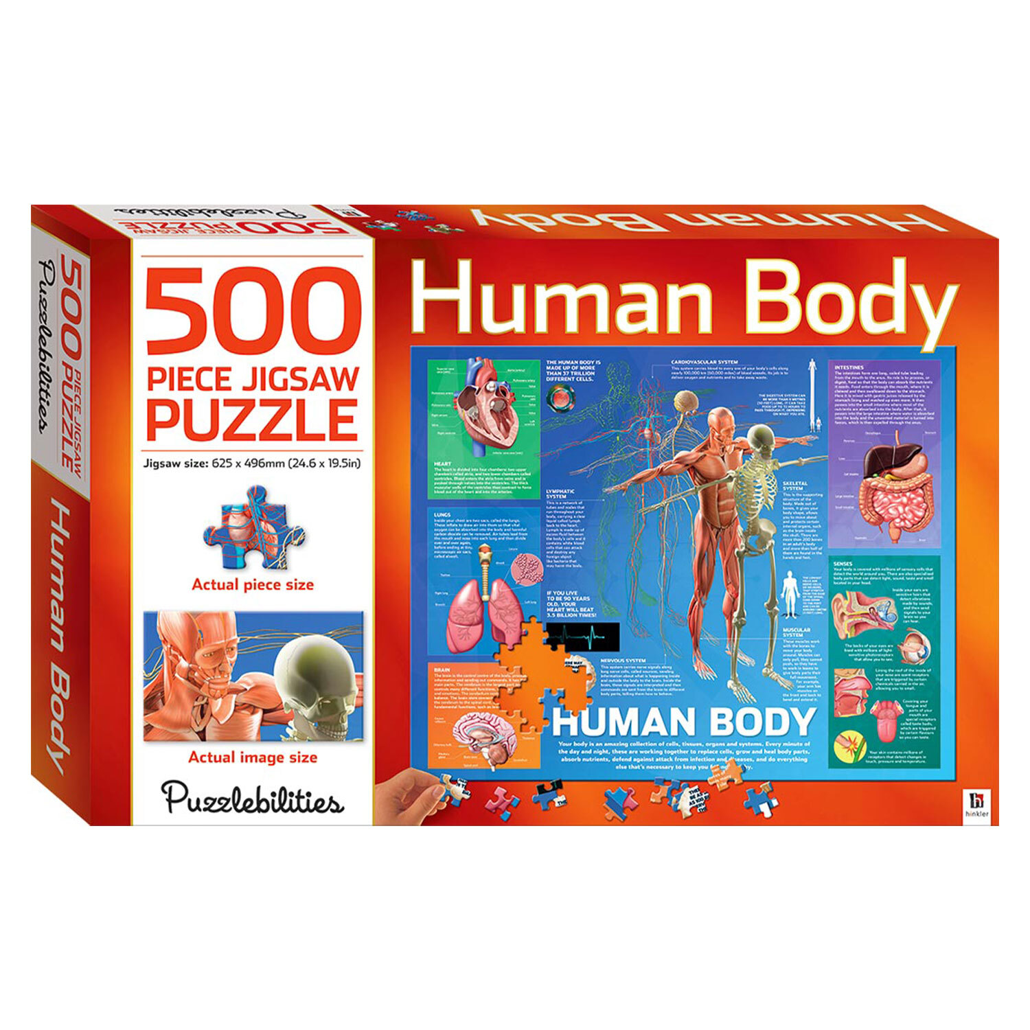 Puzzlebilities 500 Piece Human Body Jigsaw Puzzle
