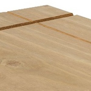  shot 4156779