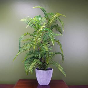 Premium Artificial Fern Grass