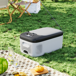 Advanced Digital Compressor Car Refrigerator