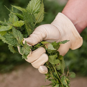 Weather Resistant Gloves