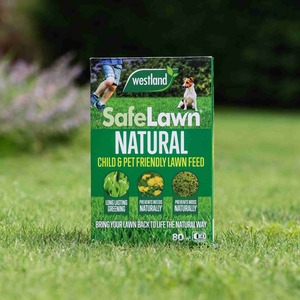 Westland SafeLawn 100% Natural Lawn Feed - Pet and Child Friendly, Ready to Use