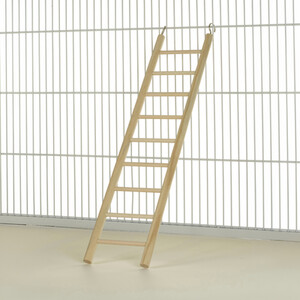 Boredom Breaker 9 Step Wooden Ladder