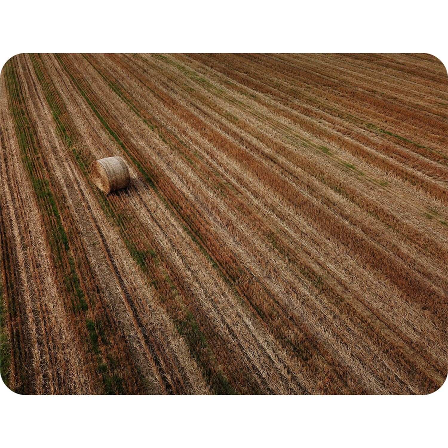 Aerial View Of Hay Bale Fields Blanket - Brown
