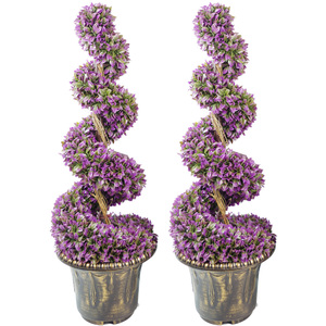 Purple Large Leaf Spiral Trees with Decorative Planter
