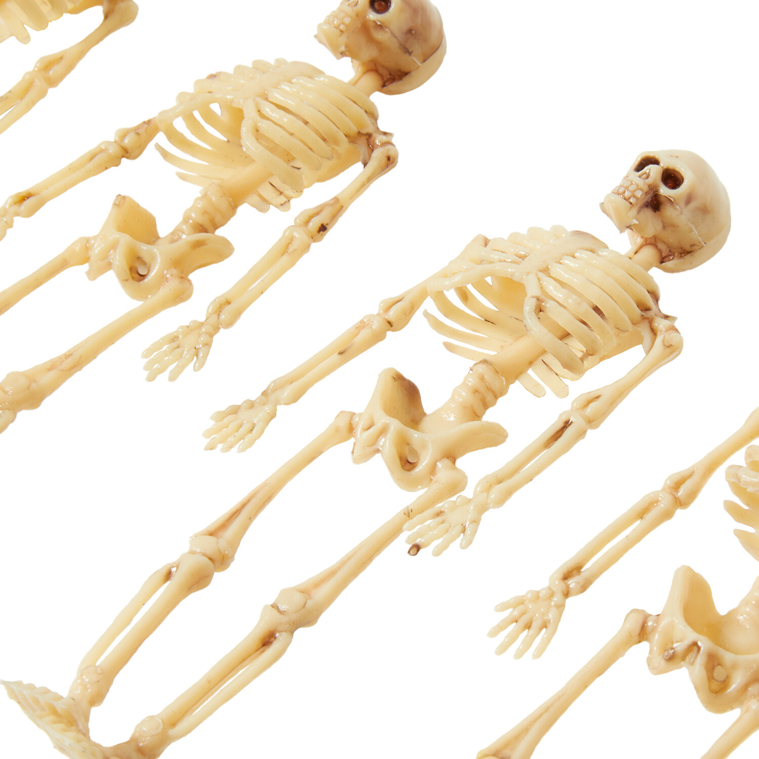 Bag of Mini Skeletons