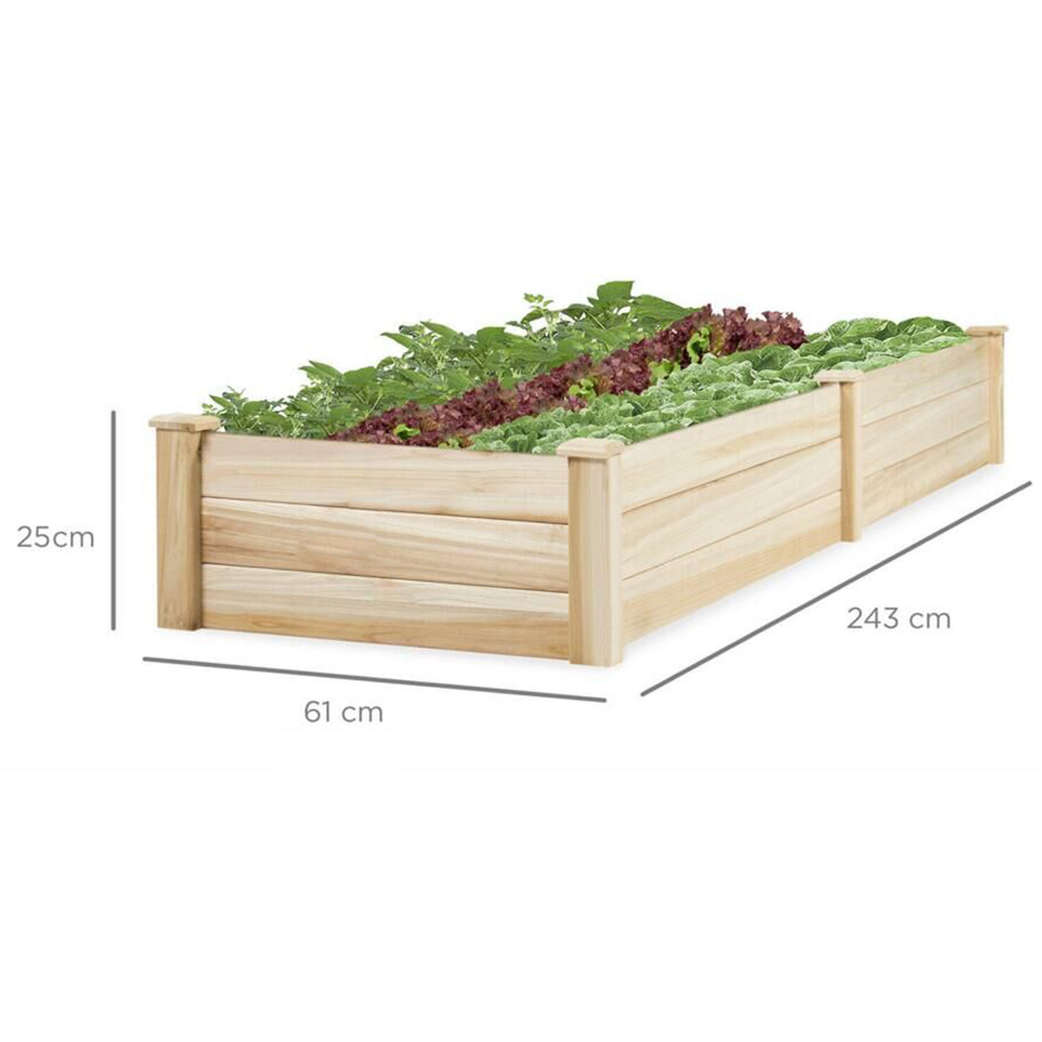 Wood Raised Garden Bed with 2 Compartments - Natural