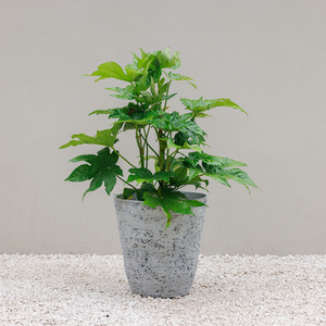 Polystone Round Garden Planter and Flower Pot