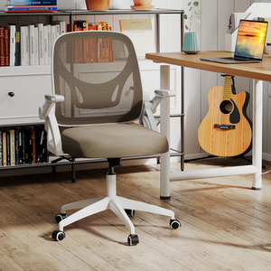 Ergonomic Mesh Computer Chair