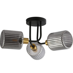  shot 10821956