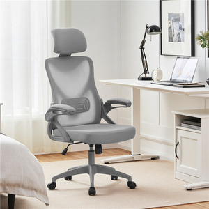 Full Grey / 11.4kg Yaheetech Ergonomic High Back Office Chair shot 10858818