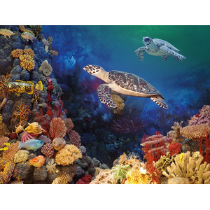 Tropical Turtles 1000 piece jigsaw puzzle