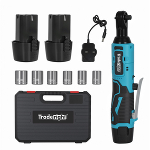 12V Cordless Ratchet Wrench 42Nm 300RPM 3 8 Inch Drive LED Charger Kit