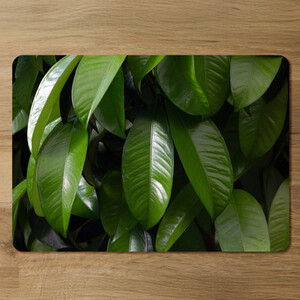 Closeup of beautiful glossy green leaves Designer Placemat Set
