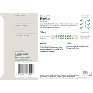 Marshalls Garden Rocket Seeds Athena - 750 Seeds