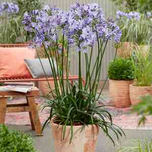  shot 13064189