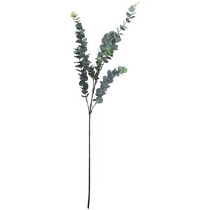 Hill Interiors Artificial Tall Single Stem Silver Dollar Eucalyptus