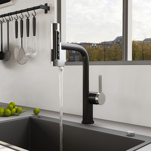 Darphe Kitchen Mixer Tap with 5 Spray Modes and Pull-Out Sprayer