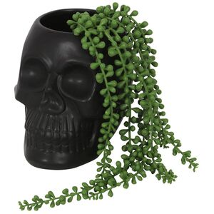 Something Different Dark Matter Skull Plant Pot