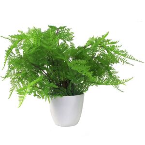 Mini Fern Artificial Potted Lady Fern